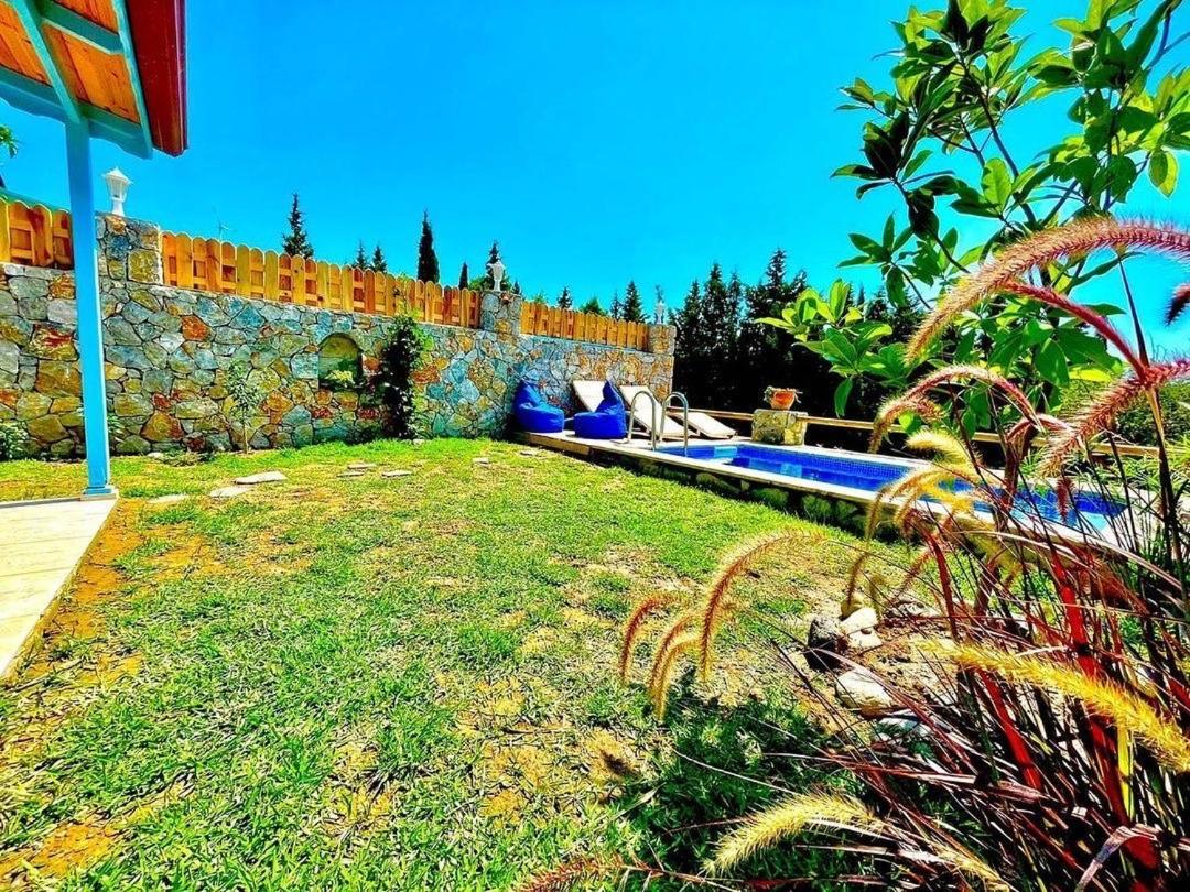 Rengin Datca