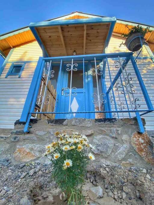Rengin Holiday home